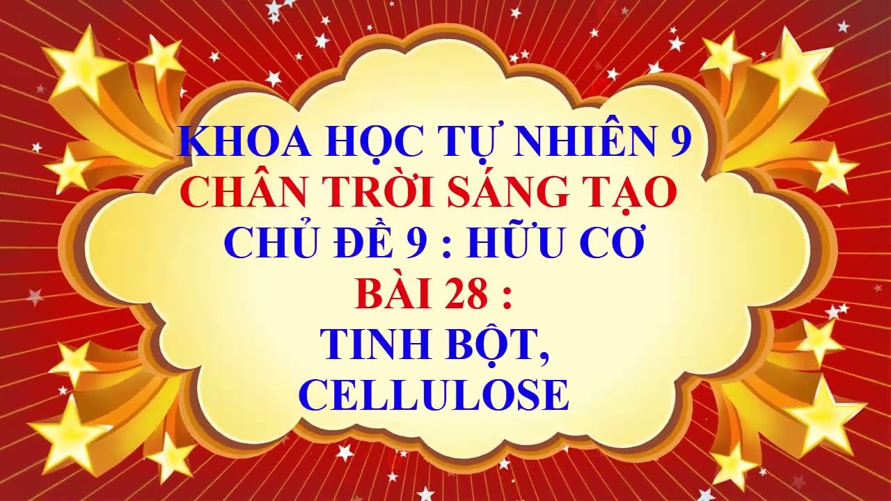 Khoa học tự nhiên 9 - Chân trời sáng tạo - Chủ đề 9 - Bài 28 - Tinh bột và cellulose