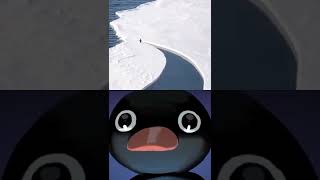 南極に帰れなくなったピングーさんLonely Noot Noot