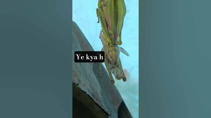 ye kya h koi btayega