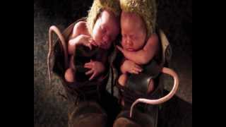 O sono e os sonhos - Livro dos Espíritos screenshot 5