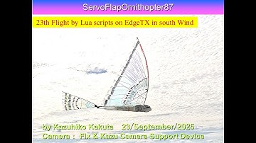 サーボ駆動羽ばたき機 SFO87 by Lua scripts on EdgeTX 　23th Flight in south Wind