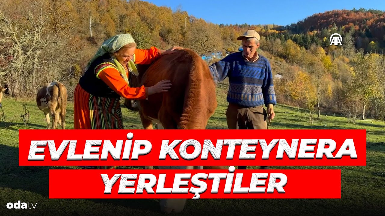 Kastamonu'da İlginç Bir Çift! Evlenip Konteynerda Yaşamaya Başladılar | Hayvancılığı Bırakmadılar