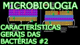 Aula: Microbiologia Médica #5 - Características Gerais das Bactérias #2