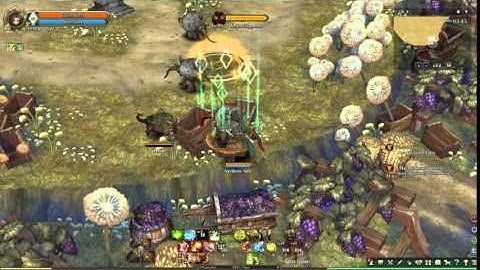 Tree of Savior-Monk(Deprotected Zone+Hand Knife combo)