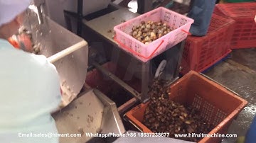 Lychee Rambutan Longan Peeling and Pit Removing Machine