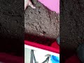 ポットに土を詰めて育苗準備 #青森 #家庭菜園