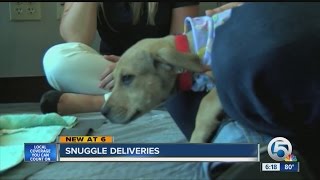 Snuggle delivery screenshot 4