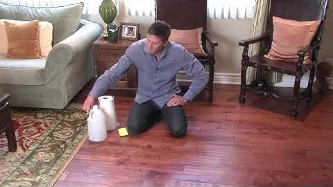 How do you get cat urine out of hardwood floors