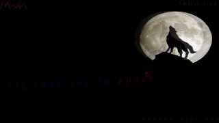 Maná Un Lobo Por Tu Amor Adelanto