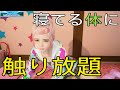 寝てるんだからおっぱい揉んでもバレないだろ！【しあわせ荘の管理人さん。】