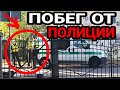 Vlog_$ ДИКИЙ ПОБЕГ ОТ ПОЛИЦИИ | ЖЁСТКО ТРОЛИМ МЕНТОВ | ЗАЛОМАЛИ ЛИЦОМ В ГРЯЗЬ | ЛЮТЫЙ ТРЭШ!