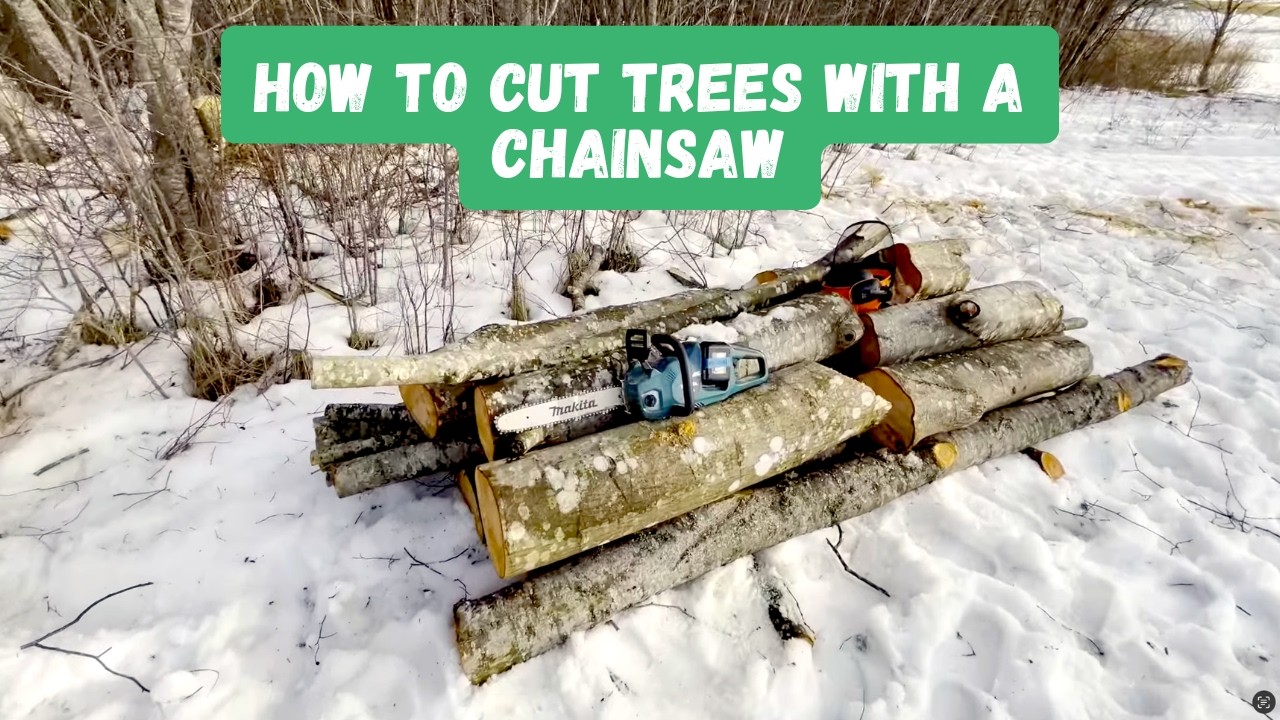 How to Cut Down a Tree Safely 🌲 Chainsaw Sharpening & Winter Tree ...