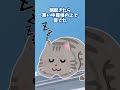 【ほっこり】野良猫、押しかけ同居はじめました