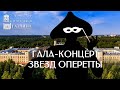 Гала-концерт звезд оперетты