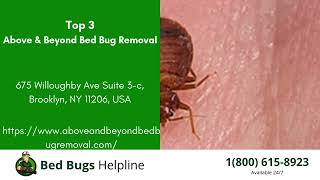 Top 3 Bed Bug Removal in Fort Drum