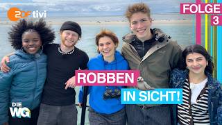 OMG, wir haben Robben gesehen! 🦭⛵️ | Folge 3 Die Allstars-WG: Setzt die Segel | DIE WG
