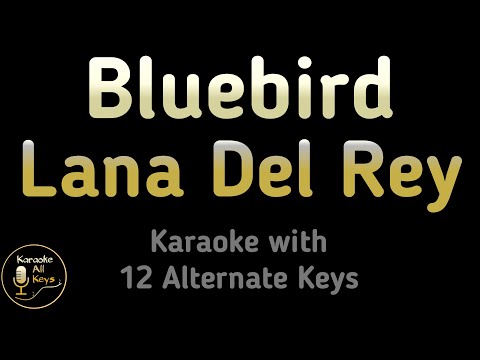 Lana Del Rey Bluebird Karaoke Instrumental Lower Higher Male Original Key 