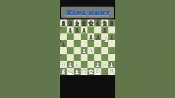 Checkmate Chess Game | See how the King was hunted