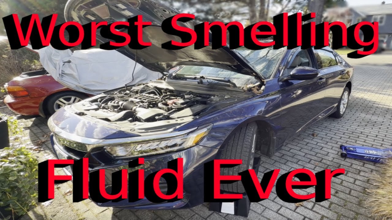 CVT Fluid Change | Easy DIY Method | 2019 Honda Accord