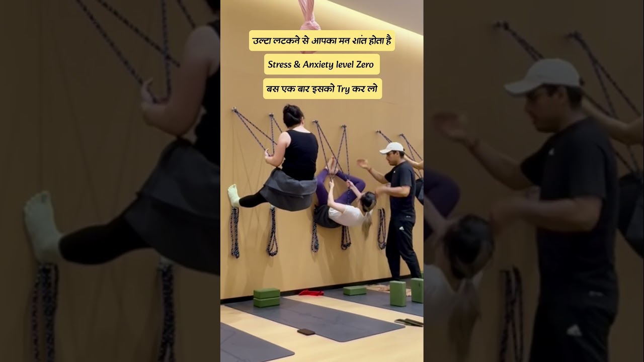 Wall Rope Suspension Yoga उल्टा लटकाकर Stress और चिंता को पूरी तरह खत्म करें #shorts #yoga #doonyoga