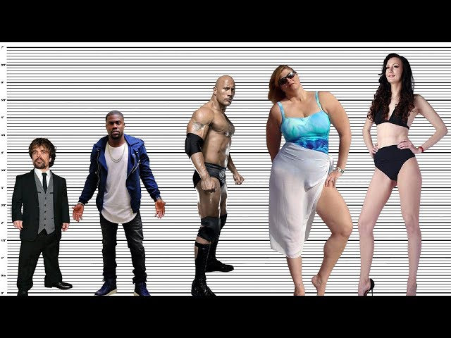 How Tall Is Dwayne The Rock Johnson? - Height Comparison! 