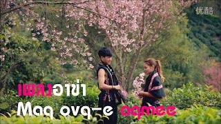 Video thumbnail of "เพลงอาข่า: Maq ovq-e aqmee"