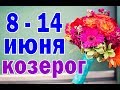 КОЗЕРОГ 🌈 неделя с 8 по 14 июня. Таро прогноз гороскоп