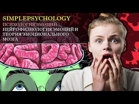 Когнитивная психология эмоций #61. Нейрофизиология эмоций и эмоциональный мозг.