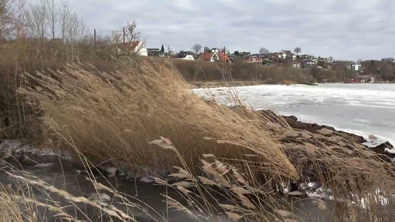 Windy and bitterly cold in Denmark