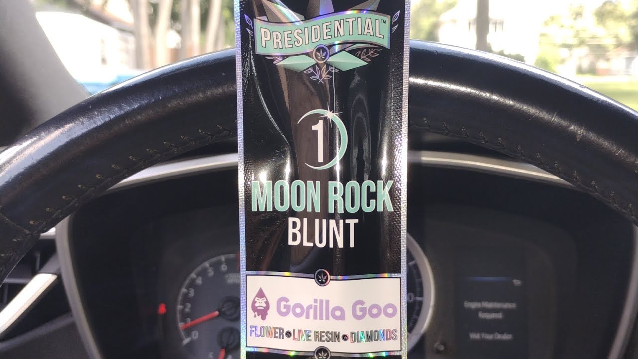 Presidential Moon Rock Blunt Gorilla Goo-Review-🦍💢☠️💨💨