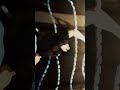 "Gojo vs Toji 👹🔥" -「AMV/EDIT」 #shorts