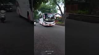 Telolet Basuri Yang Penting Happy Kebalik Bus Renjerpink Azizahtrans shorts telolet basuri viral