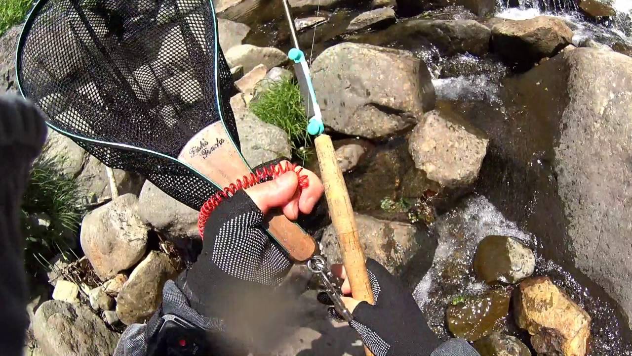 テンカラでバラシ テンカラでサソイ Youtube