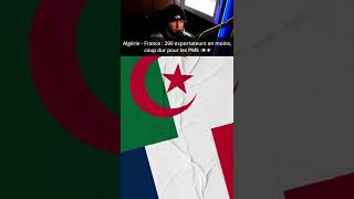 Algérie - France : 290 exportateurs en moins, coup dur pour les PME 🇩🇿🇫🇷