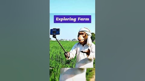 How to make Monkey Vlog with Ai 🐵 Monkey Vlog kaise banaye #aivlog #monkey