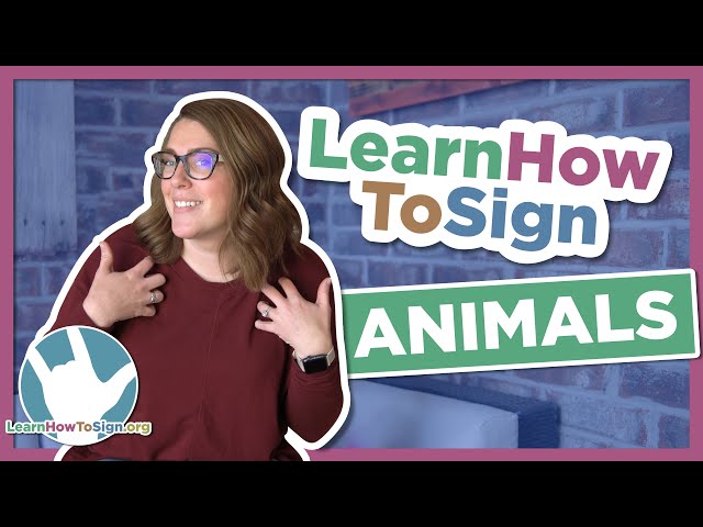 Asl Rescue How To Sign Animal Shelter In Asl