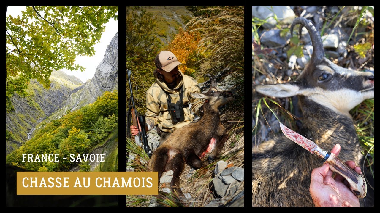 Hautes-Alpes. Une prolongation pour la chasse aux lièvres et aux chamois