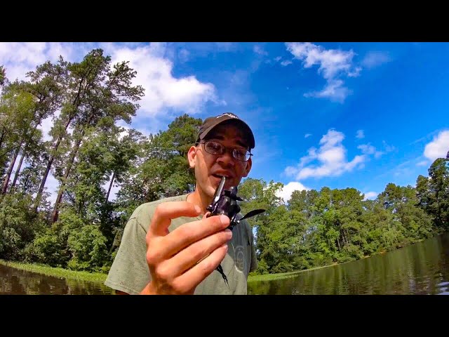 Do BASS eat BATS???? Savage Gear 3D BAT Lure !! Crazy BAT Lure Challenge 