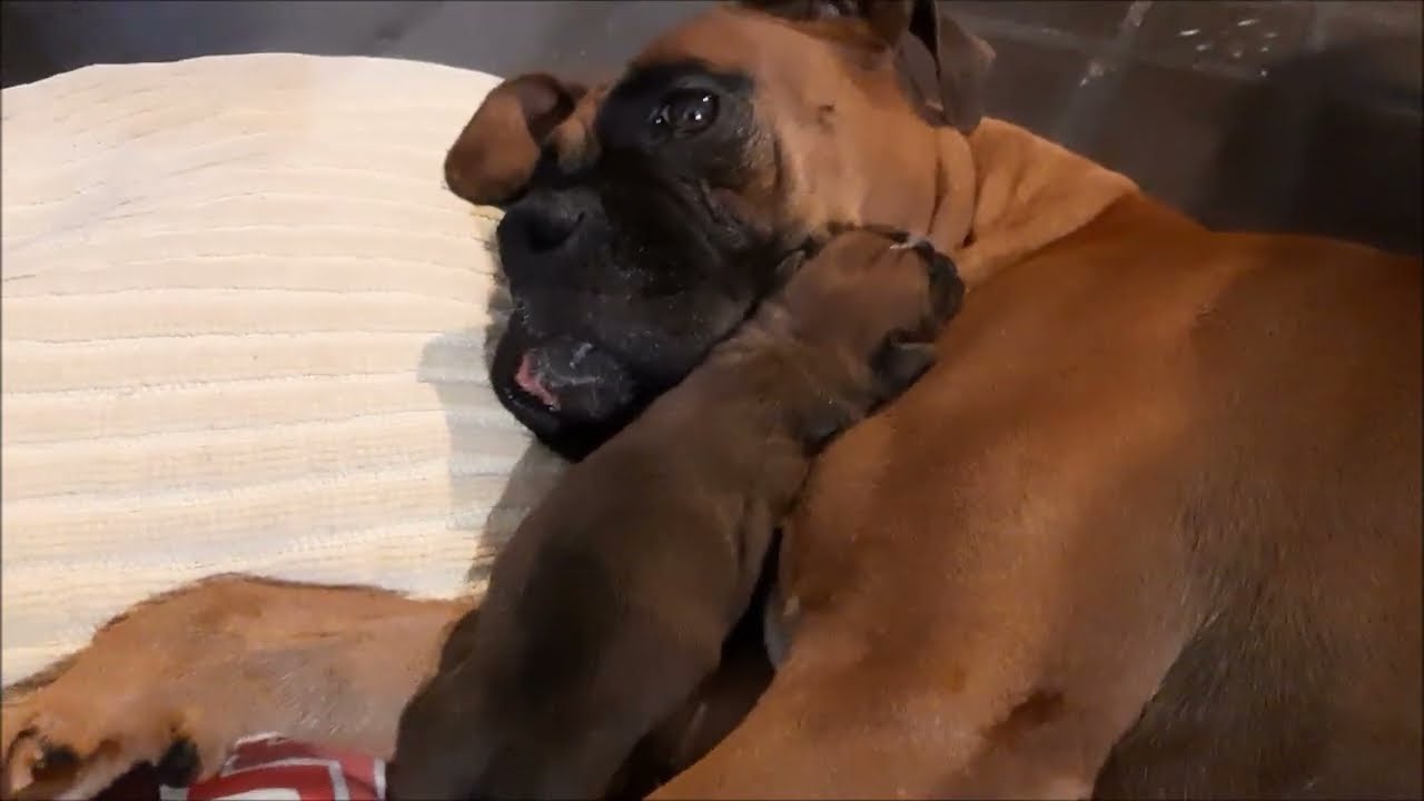 Olivia mamá ❤️ I ❤️