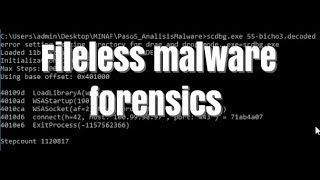 Fileless malware forensics