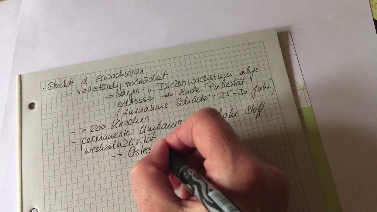 passbew_3 Ossifikation, Umbauvorgänge