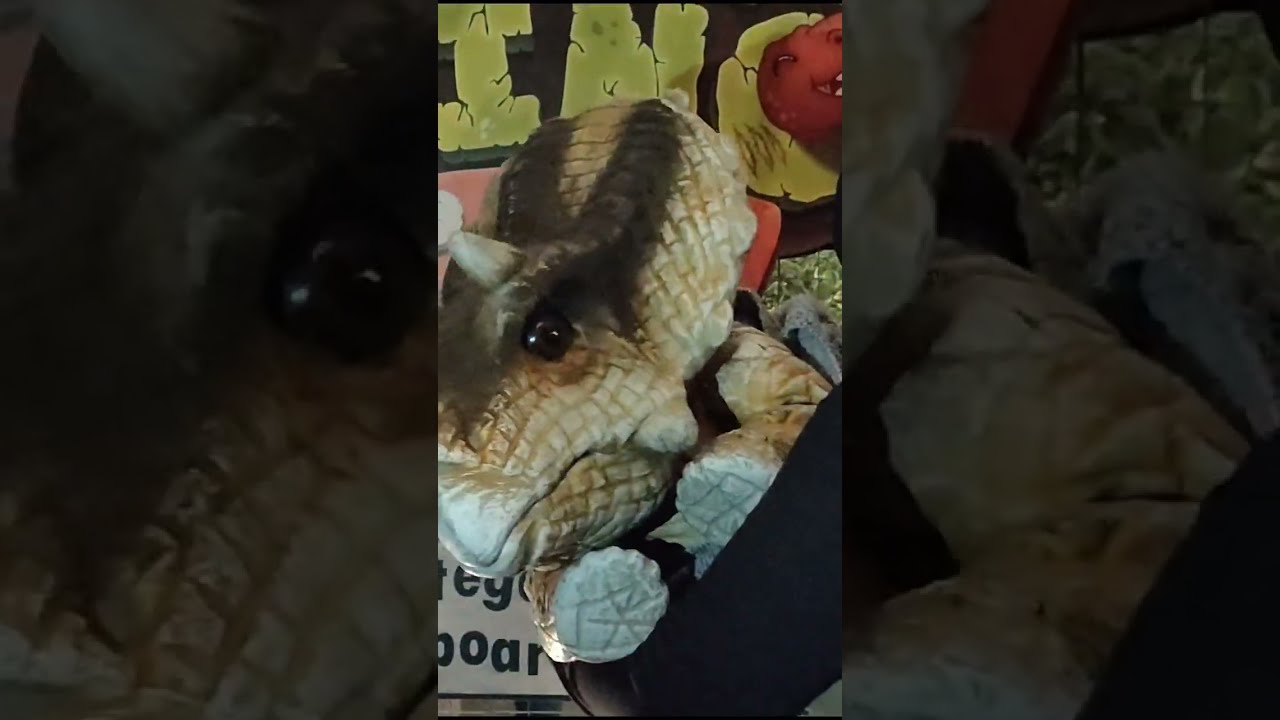 Cute Baby Dino at Baby Dino Park | 