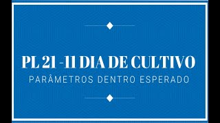 11 DIA DE CULTIVO PL21 VÍDEO 15/32