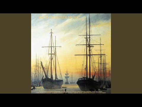 Andante for String Orchestra, Op. 2, No. 3: Le Regioni Della Luce