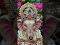 ❤️❤️ #ganpatibappa #ganpatibappamorya #love #ganeshchaturthi  #jaiganesh #peace #spirituality
