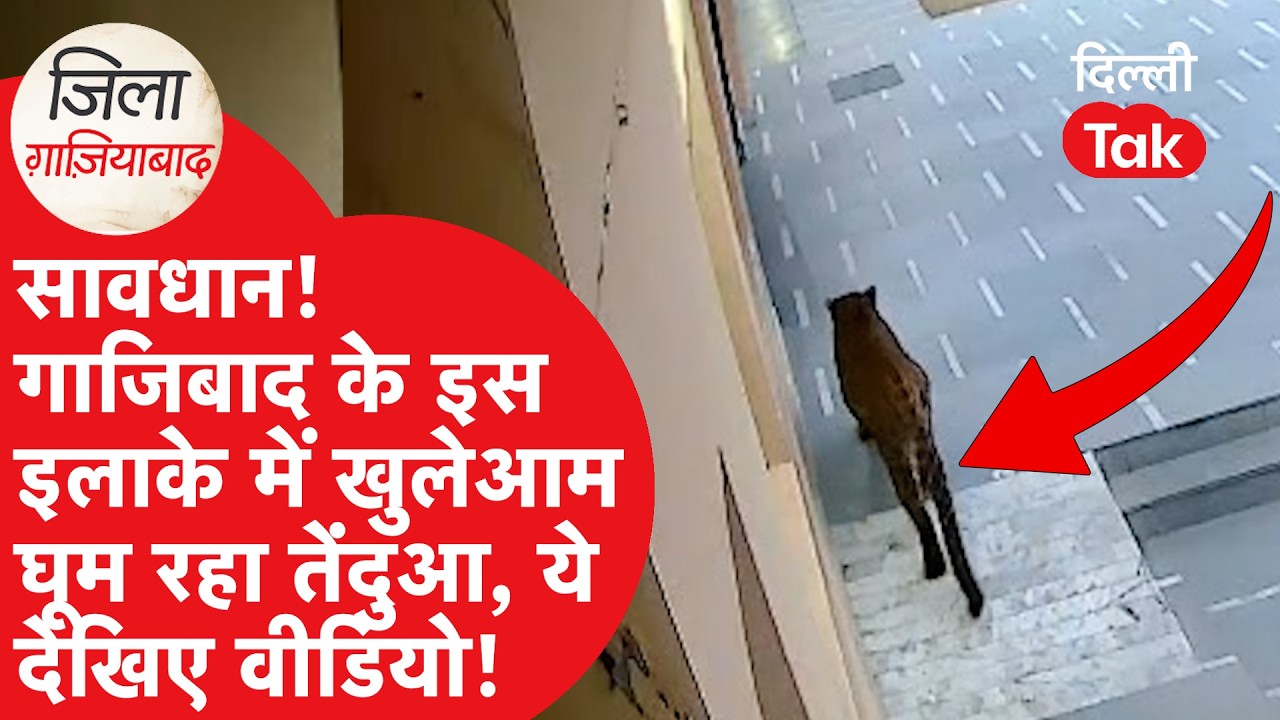 Zila Ghaziabad : सावधान! गाजियाबाद के इस इलाके में खुलेआम घूम रहा तेंदुआ, फैल रही दहशत | Dilli Tak