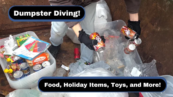 Dumpster Diving! We Found Food, Holiday Items, Tons of Toys, and More!