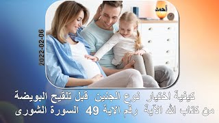 كيفية اختيار  نوع الجنين  قبل تلقيح البويضة من كتاب الله الآية  رقم  49  سورة الشورى