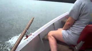 1989 Gamefisher 15hp outboard