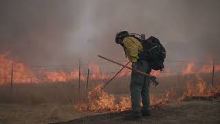 Ambassador Spotlight: THE FIRE POPPY -  Episode 2, Prescribed Burns